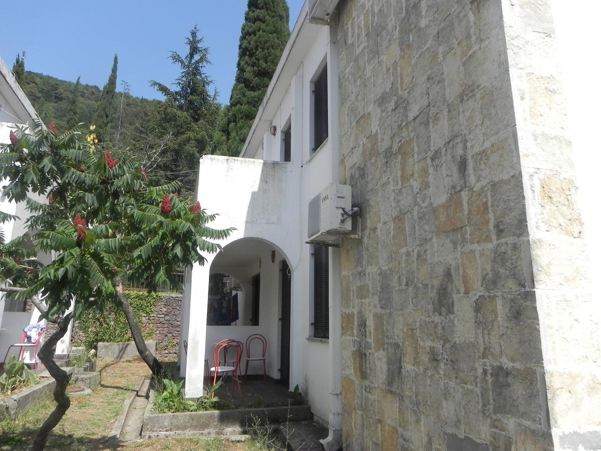 Holiday Park Vile Park Μπούντβα Εξωτερικό φωτογραφία